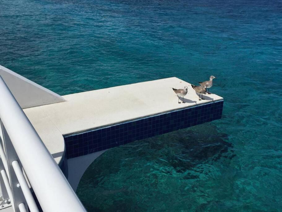 Apartment Inspiring And Relaxing Sea View Cozumel